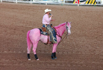 Tough Enough To Wear Pink Horse Leter Buck Cologne Celebrating