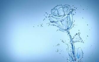 Water Flowers Wallpaper