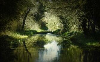 This Is Beautiful River Wallpaper HD Wallpaperlepi