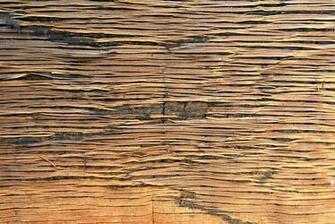 Mat Reed Background Photo On