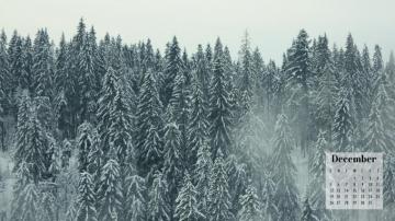 December Calendar Wallpaper Best Desktop Phone Background
