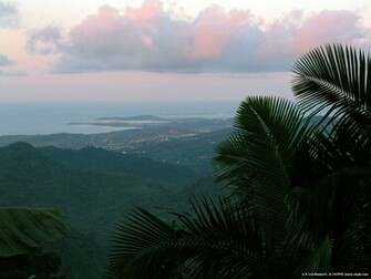 Puerto Rico El Yunque Vista