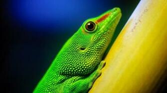 UHD Wallpaper Dump The Quality Of These May Vary It Isn T