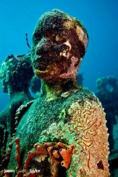 Bottom Of The Ocean Shipwreck Diving And