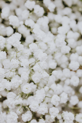 White Flowers Wallpaper