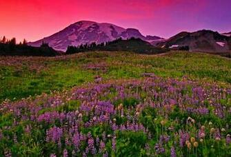 Summer Mountain Wallpaper