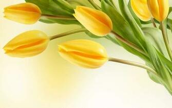 Go Back To Flowers Wallpaper For Desktop Background Next Image