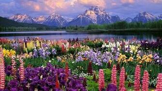 Springtime Desktop Wallpaper