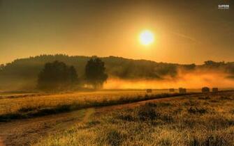 Misty Amanecer Campos Y Bosques Fondos De Pantalla