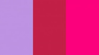 Bright Pink Colored Background Lavender Maroon And