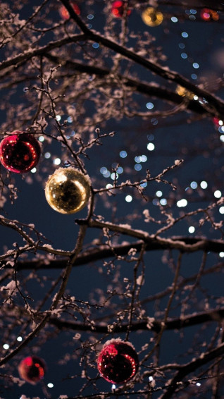 Enjoy The Beautiful Lights This Christmas Wallpaper