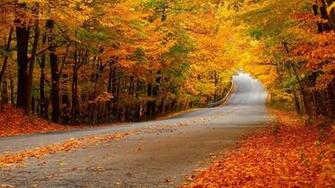 Nature Wallpaper Autumn Photo Beautiful