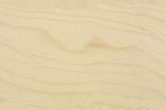 Seamless Plywood Birch Endgrain Maps Texturise