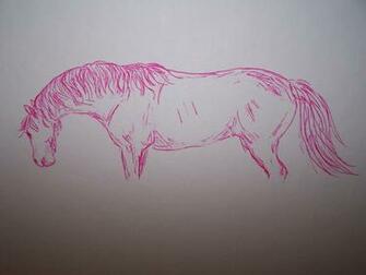 Pink Horse By Fuzzyfred
