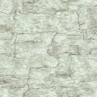 Birch Bark Wallpaper Off White Double Roll Rustic By