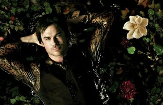 Ian Somerhalder As Damon High Quality And Resolution