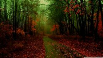Autumn Scene Background Wallpaper For Desktop