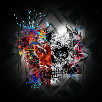 UHD Cool Skull Wallpaper