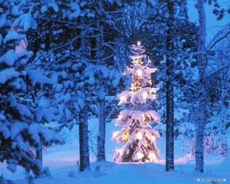 Wallpaper Winter Wonderland Html