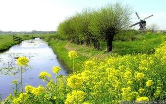 Spring Nature Wallpaper The Art Mad
