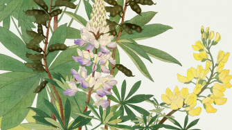Bring A Vintage Vibe To Your Home With Wild Flower Wallpaper
