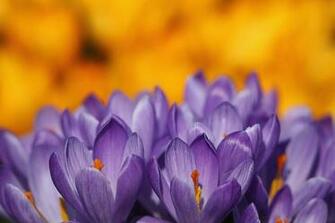 The Spring Equinox Is Wednesday March Things To Know About
