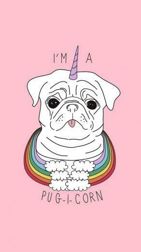 Pugicorn Or Unicorn Sawa In Pugs Pug Wallpaper