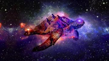 Space Animals And Stuff
