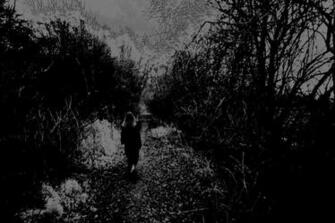 Scary Wood Black And White By Erythnul Harlequin
