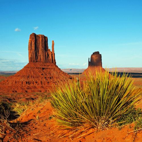 Red Desert Scene Background