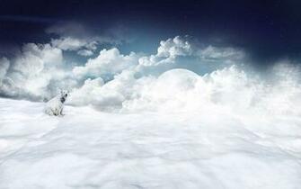 Winter Polar Bear Scene Background Wallpaper Photo Animals