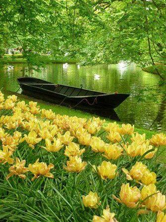 Keukenhof Gardens Netherlands