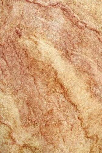 Tuscan Faux Finish Wall Car Interior Design