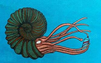 HD Wallpaper Green And Brown Squid With Shell Painting Street