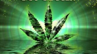 Bright Weed Leaf HD Wallpaper X Jpeg 261kb