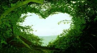 Beautiful Nature HD Wallpaper For Mobile And Desktop
