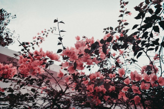 Vintage Aesthetic Laptop Wallpaper HD Desktop