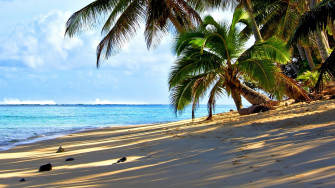 Island Picture Wallpaper