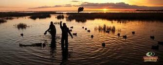 Mossy Oak Wallpaper