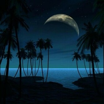 Dubstep Paradise Songs Electronic And Music