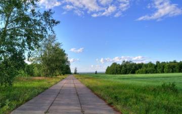 Sunny Summer Day Wallpaper Nature