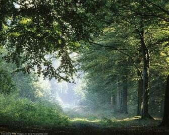 Nature Springtime Desktop Wallpaper For Pc Mac
