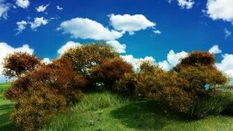 3d Landscape Picture Nr