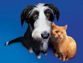 And Dog Screensaver Screensavers Cat