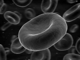Anemia Background And Over Biom Group A By Meg