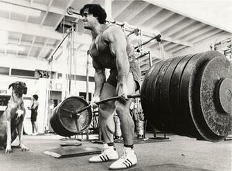 Weight Lifting Wallpaper HD Desktop Background