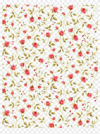 Transparent Flower Pattern Rosa Patron Flowers Background