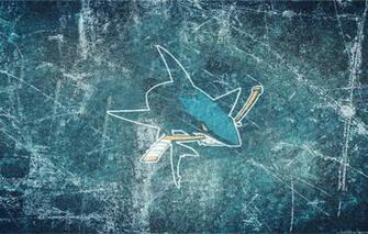 Wallpaper Ice Shark Emblem Stick San Jose Sharks Nhl