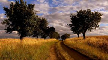 Country Photos Summer Roads Wallpaper