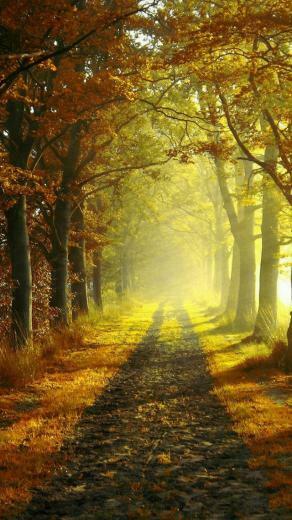 Country Road iPhone 5s Wallpaper And